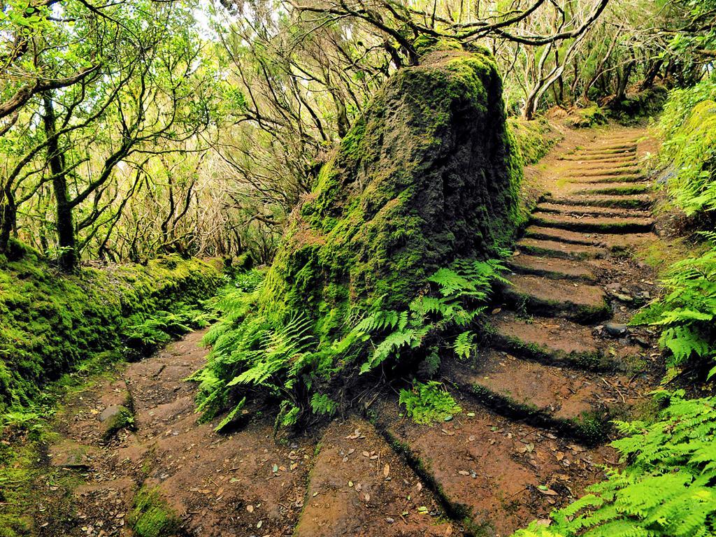 Casa Villa Tenerife Las Galletas Zewnętrze zdjęcie
